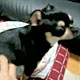 ���䂢���`